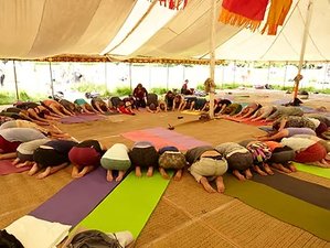 3 Day Summer Yoga Camp Retreat in beautiful Uckfield, England