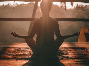 6 Day Follow Your Bliss and Beyond: A Journey of Evolutionary Leadership in Bali, Indonesia