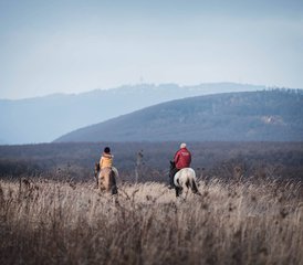 7 Tage Reittour in Ungarn für Erfahrene Reiter und Anfänger - Photo 3