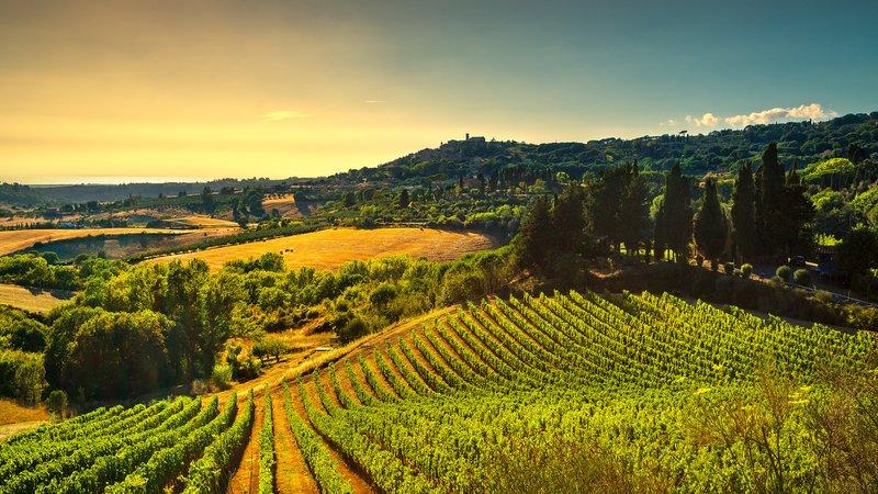 4 Day Private Gourmet Wine Tour in Tuscany with Guided Tour of Siena, Volterra and San Gimignano