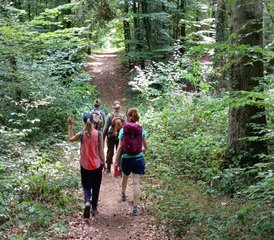14 jours en stage de marche méditative et détox ayurvédique en Champagne-Ardenne, France - Photo 3
