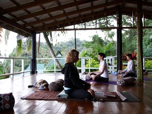 8 Day Mindfulness, Meditation, Snorkeling and Yoga Holiday With Susie  Spinks in Savusavu 