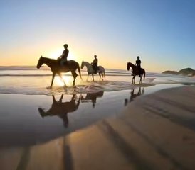 15 Tage Budget-Reiturlaub mit Tom und Tori Horse and Heart Adventures in Südafrika - Photo 2