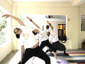 26 Day 200-Hour Yin Yoga Teacher Training in Dharamshala, India