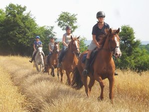7 Day Beginner's Horse Riding Holiday in Grotte di Castro, Italy