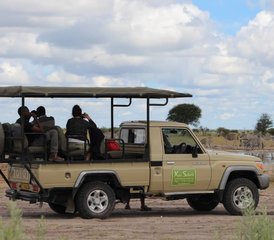 73 jours safari classique dans la réserve du Central Kalahari, Botswana - Photo 1