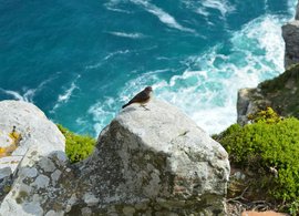 Riversdal, West-Kaap Retraites en Reizen