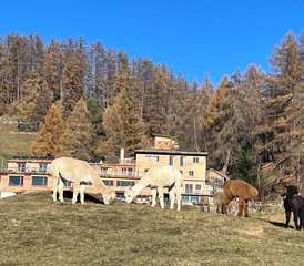 4 Tage Yoga Retreat im Naturparadies Feldis in den Bündner Bergen, Schweiz - Photo 2