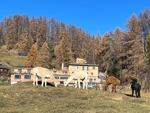 4 Tage Yoga Retreat im Naturparadies Feldis in den Bündner Bergen