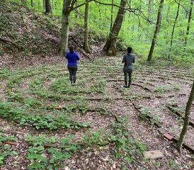 4 jours en stage d’immersion dans le labyrinthe et la nature dans les contreforts des Great Smoky Mountains, États-Unis - Photo 4