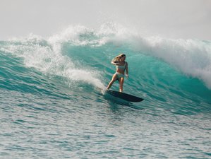 8 Day Surf Trip at a Boutique Surf Resort in Northern Mentawai, Indonesia