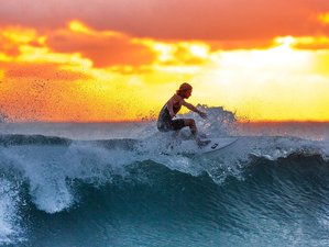 4 Day Go to The Island Chilling and Surf Camp in Ilha Grande, Brazil