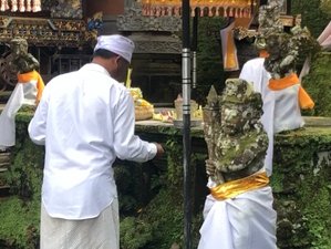 13 días en curso de Hatha yoga de 100 horas en Gianyar, Bali