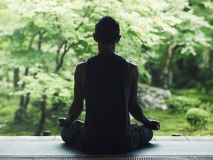 6 Day Yoga and Forest Therapy at Kakurinbo Temple in Minobu, Yamanashi, Japan