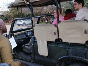 4 Day Zula Kruger Panorama Safari Tour