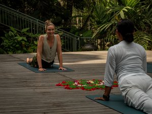 5 Day Journey Home to Self Love Wellness Retreat in Bali, Indonesia