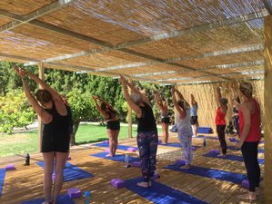 8 Day Rejuvenate, Relax, and Rest Yoga Holiday in Málaga, Spain