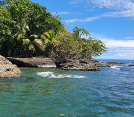 7 jours en retraite de yoga pour approfondir votre pratique à Cahuita, Costa Rica - Photo 3