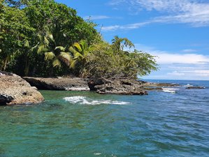 7 Tage Vertiefen Sie Ihre Praxis Yoga Retreat in Cahuita