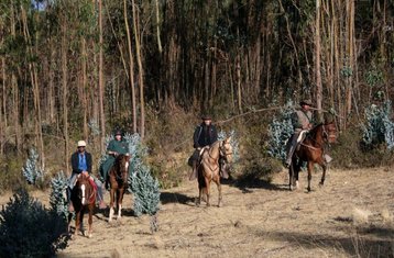 6 Day Adventure to The Condors Canyon Horse Riding Tour in Peru