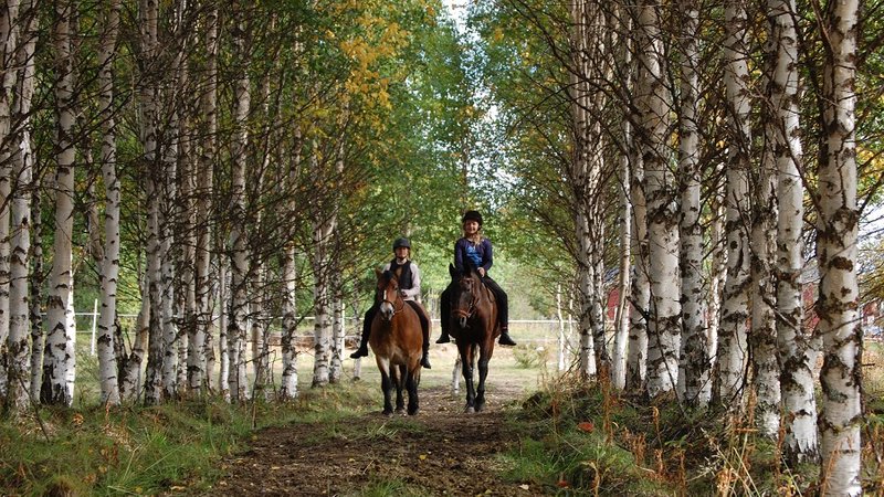 3 Days Saddle and Paddle Horseback Riding Holiday in Lapland, Sweden