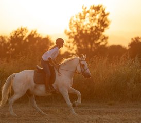 7 jours expérience équestre méditerranéenne guidée à Siurana d’Empordà, Espagne - Photo 3