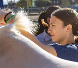 6 Day Residential Horse Riding Holiday for Girls Aged 8 to 15 Years Old in West London - Photo 2