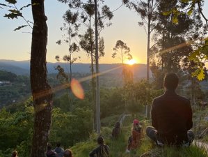 8 Day Connecting Back to Your Roots Yoga and Meditation Retreat in Cabeceiras de Basto