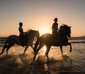 108 Tage Reiturlaub am Strand in der Region Agadir, Marokko - Photo 1