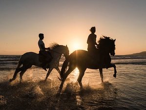 8 jours en stage d’équitation à la plage dans la région d’Agadir, Maroc