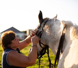 29 Day Working Riding Holiday; Live Like a Local, Connect with Horses on the Wild Coast South Africa - Photo 4