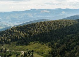 Vosges Mountains area Retreats & Trips