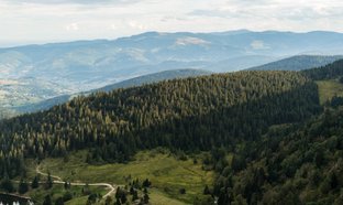Les Vosges Retraites et Voyages