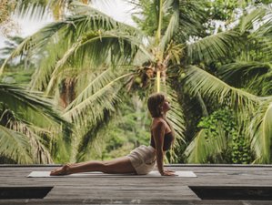 2 Day Blissful Yoga, Meditation, and Relaxation Retreat in Bali, Indonesia