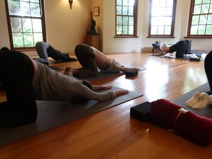 7 Day 50-Hour Yin Yoga Training with Vegan Food in Rheenendal, Knysna, South Africa