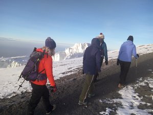 10 Days Lemosho Route Trekking Safari in Kilimanjaro, Tanzania