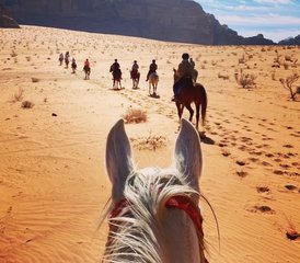 8 Day Petra Baidah and Wadi Rum Horse Riding Tour in Jordan - Photo 5
