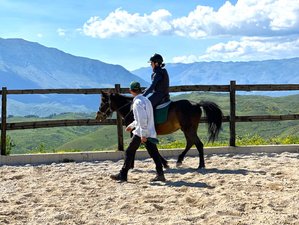 8 jours de séjour équestre pour débutants « Rythmes équestres » à Gjirokastër, Albanie