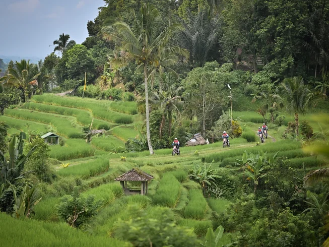 4 Day Tabanan Beach and Jungle Adventure Guided Motorcycle Tour in Indonesia photo 10