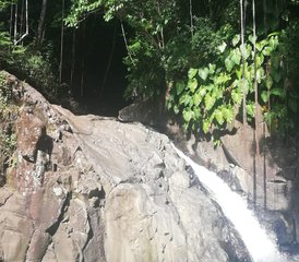 3 jours en retraite méditative et somatique à Trois-Rivières, Guadeloupe - Photo 3