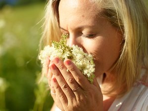 4 Tage Yoga und Kräuterwanderungen Retreat im Salzburger Land