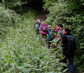 4 Day Yoga, Mindfulness, and Hiking Retreat nestled in Peaceful Village of Hatrival, Belgium - Photo 4