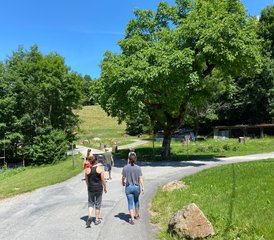 2 jours en stage de yoga « Déconnexion - Reconnexion» pour familles ou couples, en Savoie, France - Photo 5