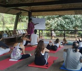 8 Day All-inclusive Personalized Ayurveda Retreat in Kollam, Kerala, India - Photo 2