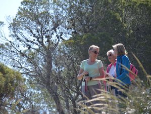 4 Day Bespoke Spiritual Retreat in Granada, Spain