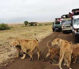 3 Day Experience Wildlife Safari and Explore a Little Paradise of Africa at Maasai Mara - Photo 2