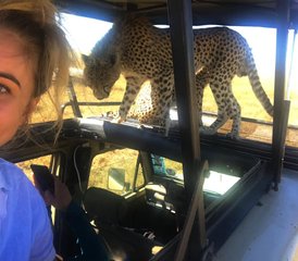 7 jours safari camping pour découvrir les Big Five de Tanzanie, Tanzanie - Photo 3