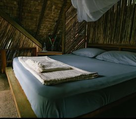 5 jours de vrai yoga : retour aux sources pure et écoute des chants sacrés des baleines à Arusí, Colombie - Photo 4