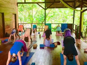 7 Day Return to Harmony Wellness Retreat in Playa Chiquita, Costa Rica