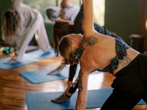 5 Day Design it Yourself (DIY) Yoga Retreat in Monteverde, Costa Rica